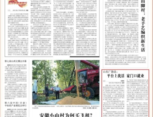 央媒点赞！广饶2000余名居家妇女通过零灵发“家门口赚钱”